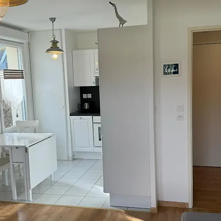 Apartment Moderne T2, Rez-de-jardin, Proche Et Centre Ville, Parking, Wifi, Animaux Acceptes