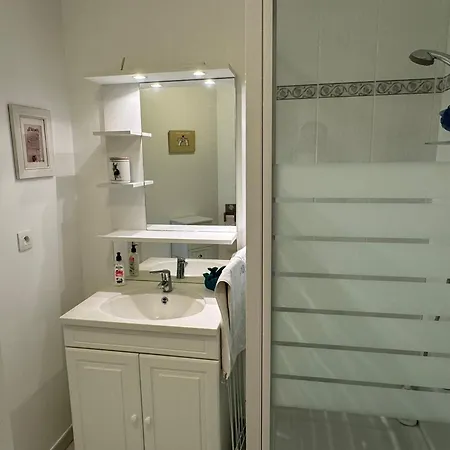 Moderne T2, Rez-de-jardin, Proche Et Centre Ville, Parking, Wifi, Animaux Acceptes - Fr-1-487-362 卡布尔