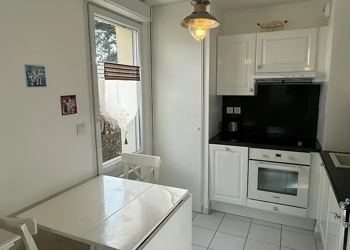 Moderne T2, Rez-de-jardin, Proche Et Centre Ville, Parking, Wifi, Animaux Acceptes - Fr-1-487-362