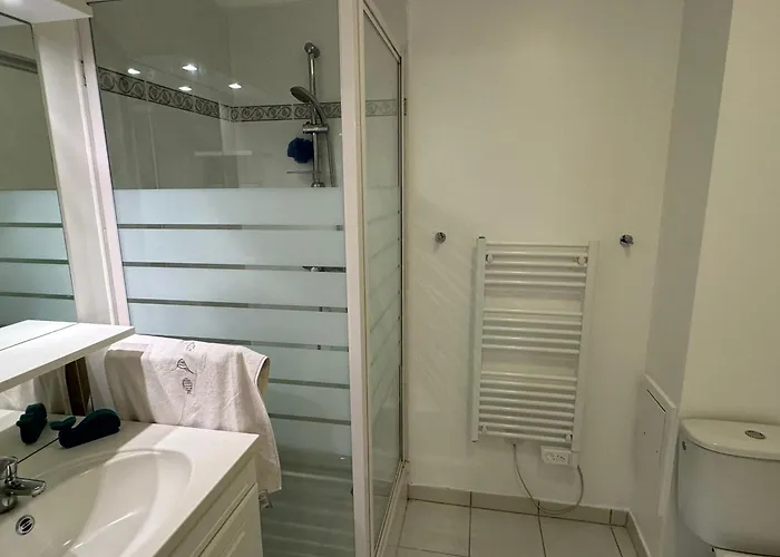 Moderne T2, Rez-de-jardin, Proche Et Centre Ville, Parking, Wifi, Animaux Acceptes - Fr-1-487-362 *